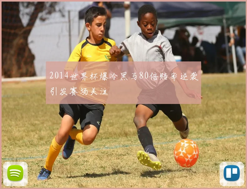 2014世界杯爆冷黑马80倍赔率逆袭引发赛场关注