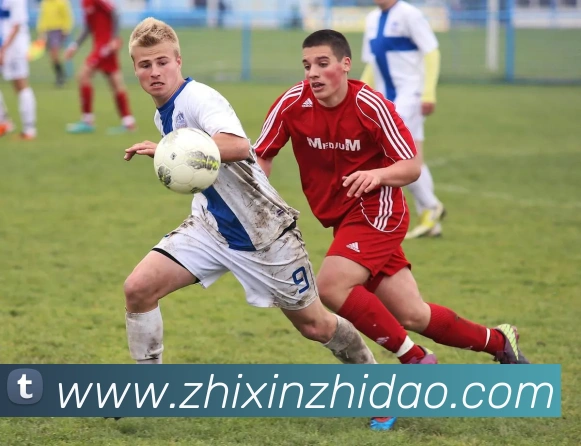 星空官网首页入口平台生态图