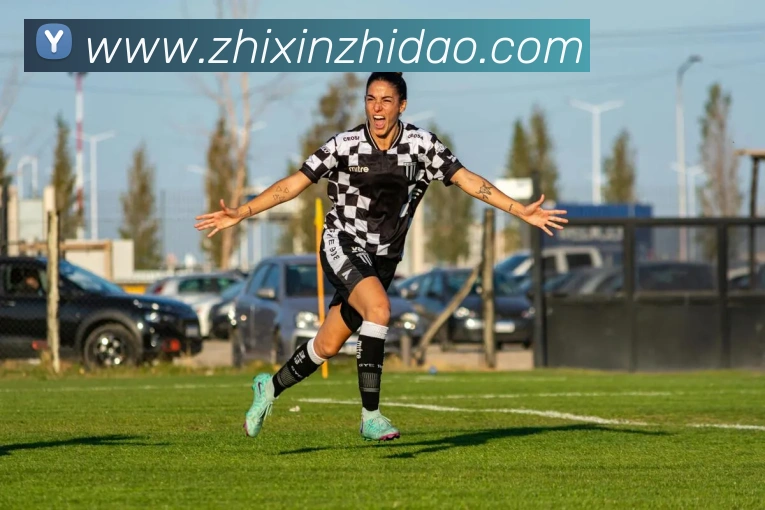 星空官网首页入口APP 封面图